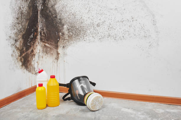 Necedah, WI Mold Remediation Company