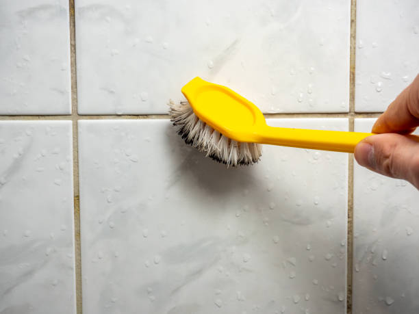 Best Black Mold Remediation in Necedah, WI
